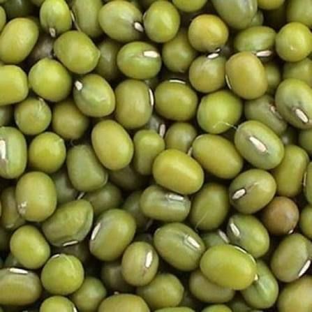 Salbuko